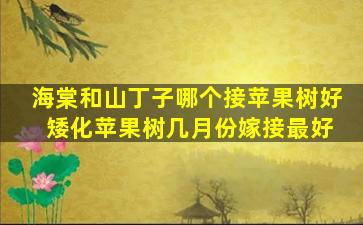 海棠和山丁子哪个接苹果树好 矮化苹果树几月份嫁接最好